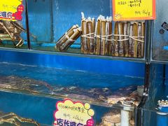 -蚝专家(北滘店)