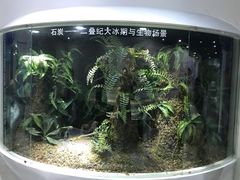 -中国第四纪冰川遗迹陈列馆