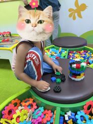 -莫莉幻想儿童乐园(北京金隅嘉品店)