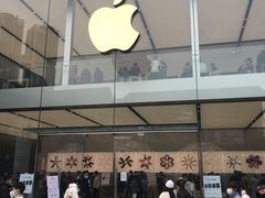 -Apple零售店(成都太古里店)