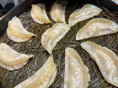 茴香蒸饺-松针蔡记蒸饺(花园路店)