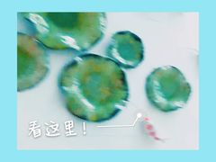 -确喜美味小厨(西单商场兰州店)