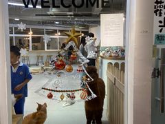 -Heymao猫咖.咖啡厅(东门店)