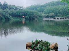 -深圳仙湖植物园