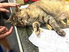 -协和菜馆(凤凰街店)