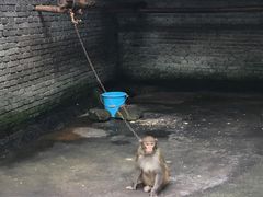 -太湖源风景区
