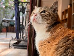 -隅cafe(傅厚岗店)