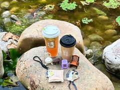 -深圳国际园林花卉博览园