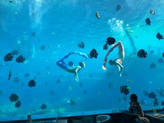 -瑞德姆美人鱼海底演艺主题餐厅(亚龙湾店)