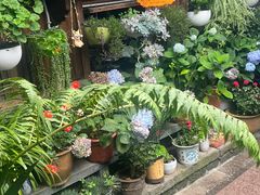 -龙姐私房菜(和顺古镇店)