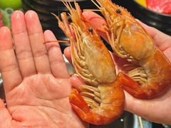 -牛New寿喜烧(中山公园龙之梦店)