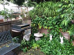 后院-more than meow吴止猫主题餐厅(承德 中船汇店)