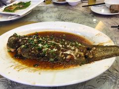 -有腥气私房菜·寻味顺德