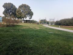 -九里河湿地公园