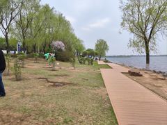 -丁香湖公园