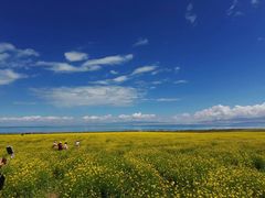 -青海湖国家重点风景名胜区