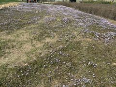 -西海岸生态观光园