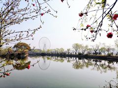 -无锡蠡湖国家湿地公园-蠡园