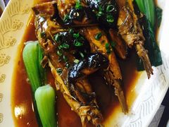 -天正河鲀·河豚亭(大连店)