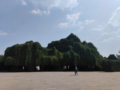 -云南民族村