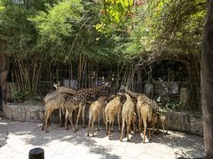 -长鹿旅游休博园