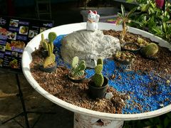 -蝶豆花蓝面条
