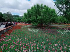 -长春公园(普阳街道)