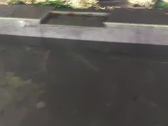 -汤山温泉房车营地 茶温泉