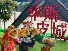 -肃宁华斯国际裘皮城