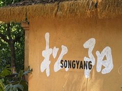 -杨家堂村