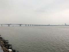 -大湾区中央湿地公园