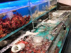 -苏格里岛自助烤肉海鲜火锅(成都金牛万达店)