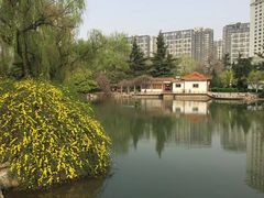 -西苑公园