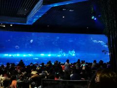 -华夏文旅海洋公园