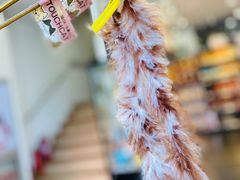 -萌兽医馆·眼科·异宠专科(三里屯店)