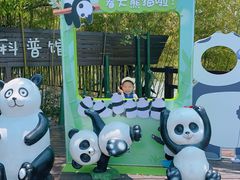 -苏州太湖国家湿地公园
