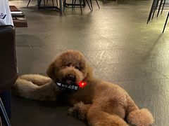 -West10 西拾·西餐厅·创意菜(未来科技城店)