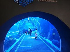 -成都浩海立方海洋公园