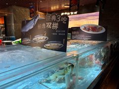 -紫阳海鲜楼·传承闽味(长乐路总店)