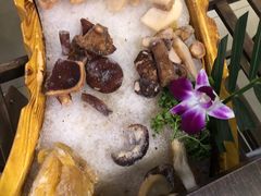 菌类六拼-老诚一锅羊蝎子(黄寺大街店)