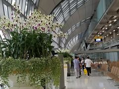-曼谷素万那普国际机场