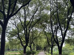 -金银湖国家城市湿地公园