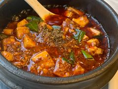 -陈麻婆豆腐总店
