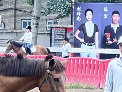 -北京群众马术培训基地