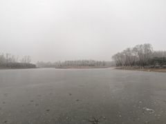 -大兴滨河森林公园