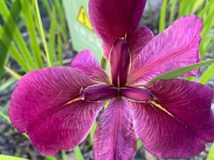 -上海植物园-4号门售票处