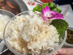 -川西坝子(老军营店)