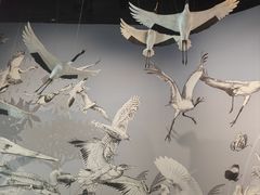 -中国湿地博物馆