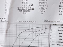 -瑞派天使宠物医院·神经外科·骨科·核磁(洛川中路店)