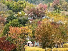 -塔川景区